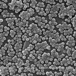 800px-MRSA7820 800px-MRSA7820