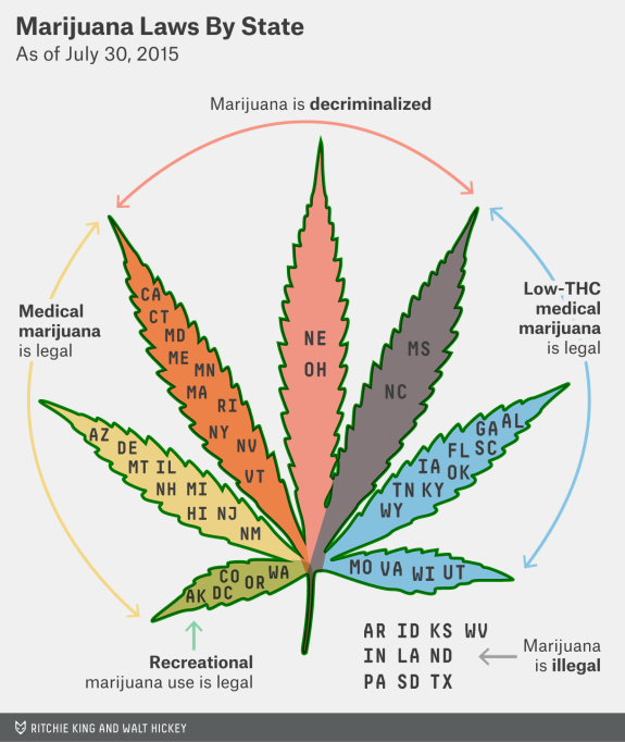 marijuana type of identification