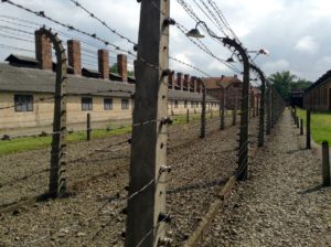 barbed wire fences at Auschwitz