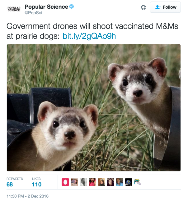 drones-to-shoot-mm-vaccine